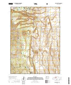 McCarty Butte 2020 topographic map thumbnail