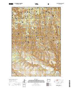 McIntyre Creek 2020 topographic map thumbnail