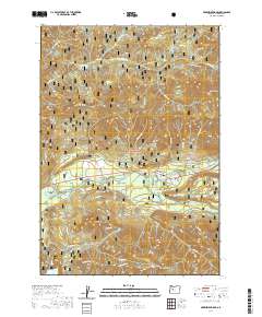 McKenzie Bridge 2020 topographic map thumbnail
