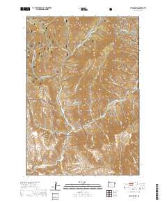 McLain Gulch 2020 topographic map thumbnail