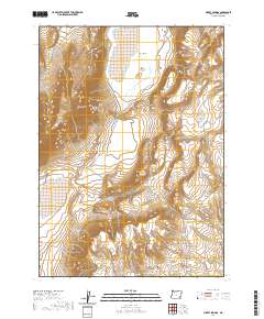 Mickey Springs 2020 topographic map thumbnail