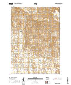 Monument Peak 2020 topographic map thumbnail