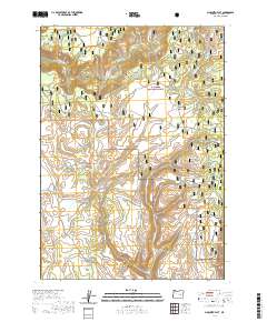 Mosquito Flat 2020 topographic map preview