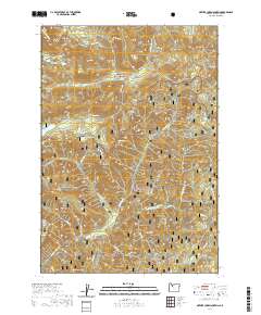 Mother Lode Mountain 2020 topographic map thumbnail