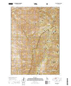 Twin Sisters 2020 topographic map thumbnail