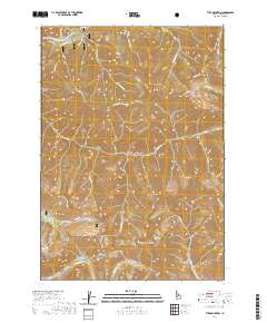 Tyee Mountain 2020 topographic map thumbnail