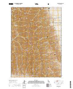 Tyler Peak 2020 topographic map thumbnail