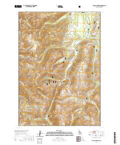 Tyndall Meadows 2020 topographic map thumbnail