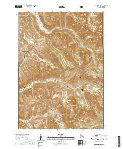 Washington Peak 2020 topographic map thumbnail