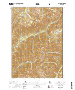Wild Buck Peak 2020 topographic map thumbnail