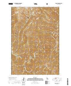 Williams Peak 2020 topographic map thumbnail