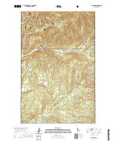 Wylie Knob 2020 topographic map thumbnail