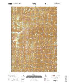 Wylies Peak 2020 topographic map thumbnail