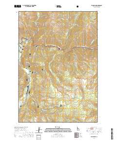 Yellow Pine 2020 topographic map thumbnail