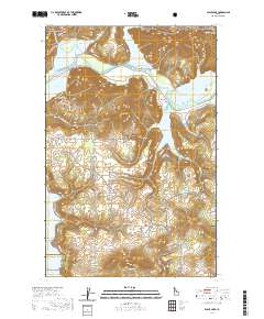 Black Lake 2020 topographic map thumbnail