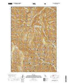 Allan Mountain 2020 topographic map thumbnail