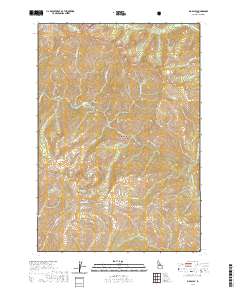 Big Baldy 2020 topographic map thumbnail