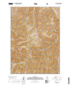 Bowery Peak 2020 topographic map thumbnail