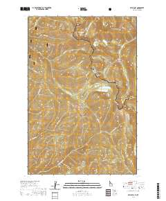 Bruin Hill 2020 topographic map thumbnail