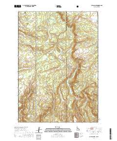 Buffalo Lake 2020 topographic map thumbnail