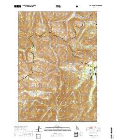 Bull Trout Point 2020 topographic map thumbnail