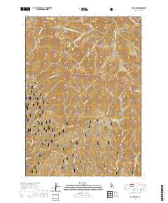 Cayuse Point 2020 topographic map thumbnail