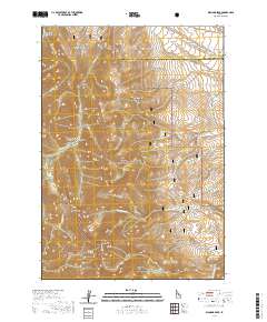 Diamond Peak 2020 topographic map thumbnail