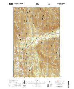 Hall Mountain 2020 topographic map thumbnail