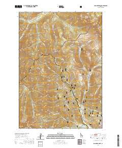 Iron Creek Point 2020 topographic map thumbnail