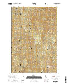 Iron Mountain 2020 topographic map thumbnail