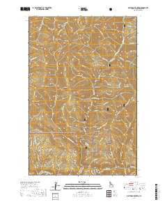 Mastodon Mountain 2020 topographic map thumbnail