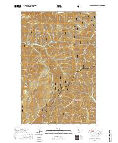 Packsaddle Mountain 2020 topographic map thumbnail