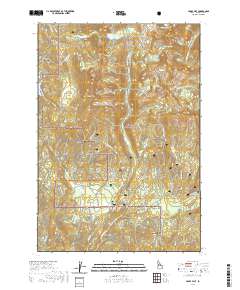 Paddy Flat 2020 topographic map thumbnail