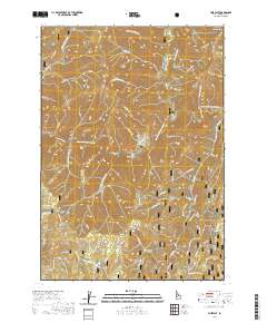 Pine Flat 2020 topographic map thumbnail