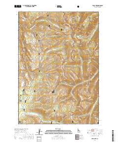 Pistol Lake 2020 topographic map thumbnail