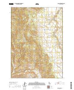 Poison Creek 2020 topographic map thumbnail