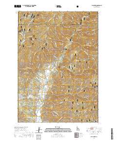 Pyle Creek 2020 topographic map thumbnail