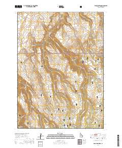Rams Horn Ridge 2020 topographic map thumbnail