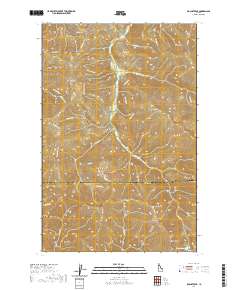 Rochat Peak 2020 topographic map thumbnail