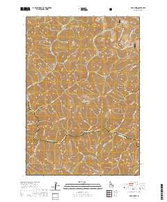 Rock Creek 2020 topographic map thumbnail