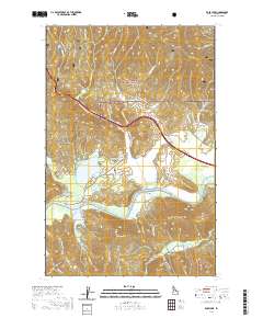 Rose Lake 2020 topographic map thumbnail