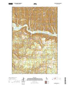 Saint Joe Baldy 2020 topographic map thumbnail