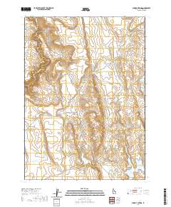Shoofly Springs 2020 topographic map thumbnail