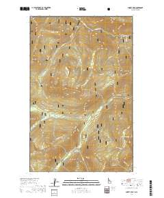 Shorty Peak 2020 topographic map thumbnail