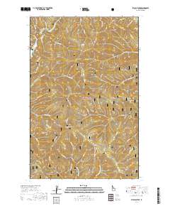 Spyglass Peak 2020 topographic map thumbnail