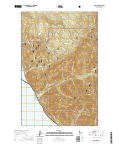 Trout Peak 2020 topographic map thumbnail