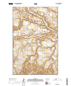 Big Coulee 2020 topographic map thumbnail