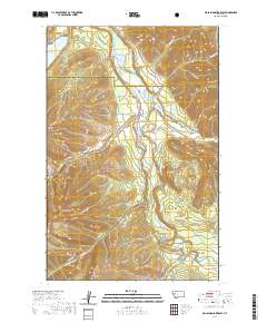 Big Salmon Lake East 2020 topographic map thumbnail