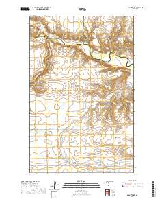 Abbott Lake 2020 topographic map thumbnail