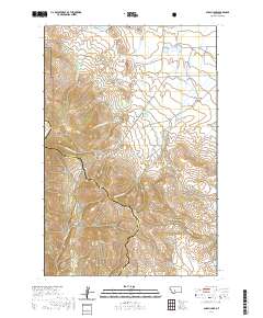 Alkali Lake 2020 topographic map thumbnail
